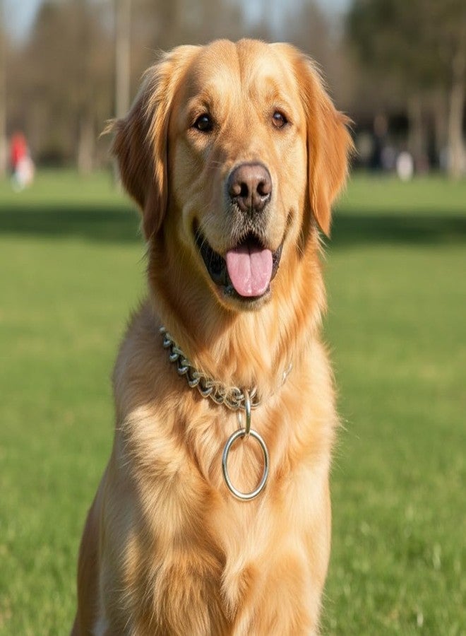 PET FUN 2.5mm Chrome Plated Stainless Steel Choke Chain - Dog Training Collar for Small & Medium Breeds | Durable, Smooth & Rust-Resistant (Width 2.5 MM - Length -19.INCH) - Image 5